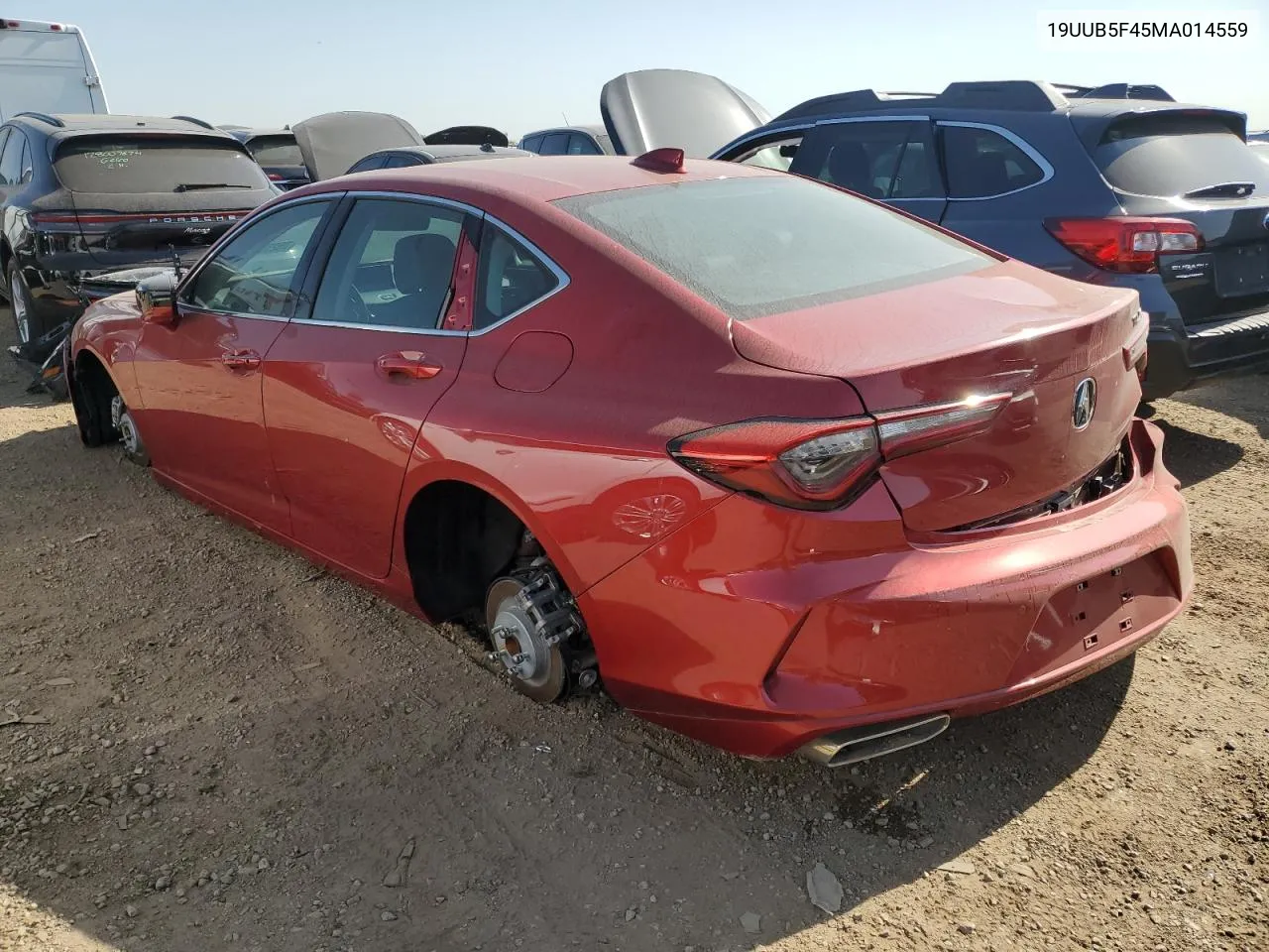 2021 Acura Tlx Technology VIN: 19UUB5F45MA014559 Lot: 75253264