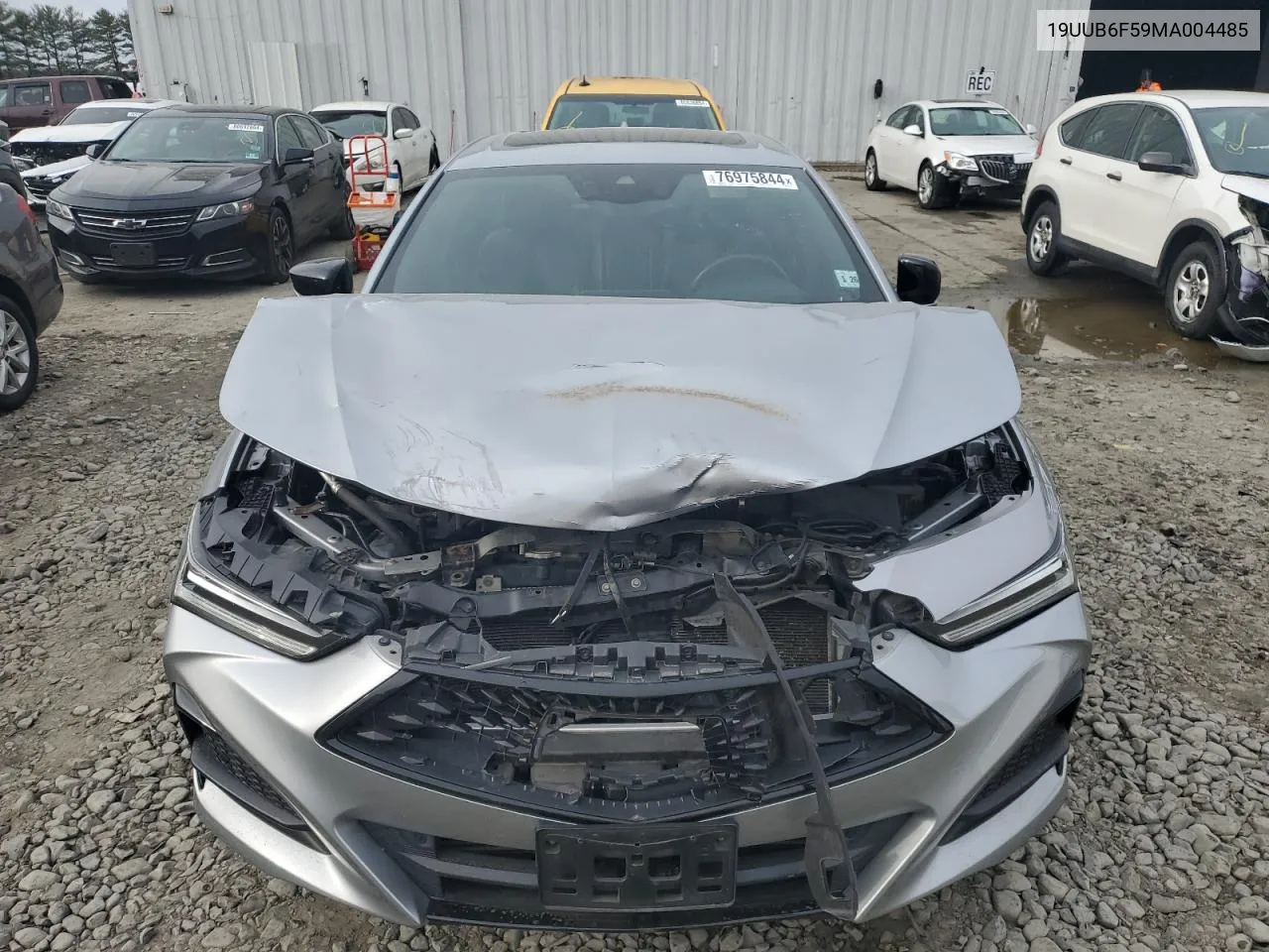 2021 Acura Tlx Tech A VIN: 19UUB6F59MA004485 Lot: 76975844