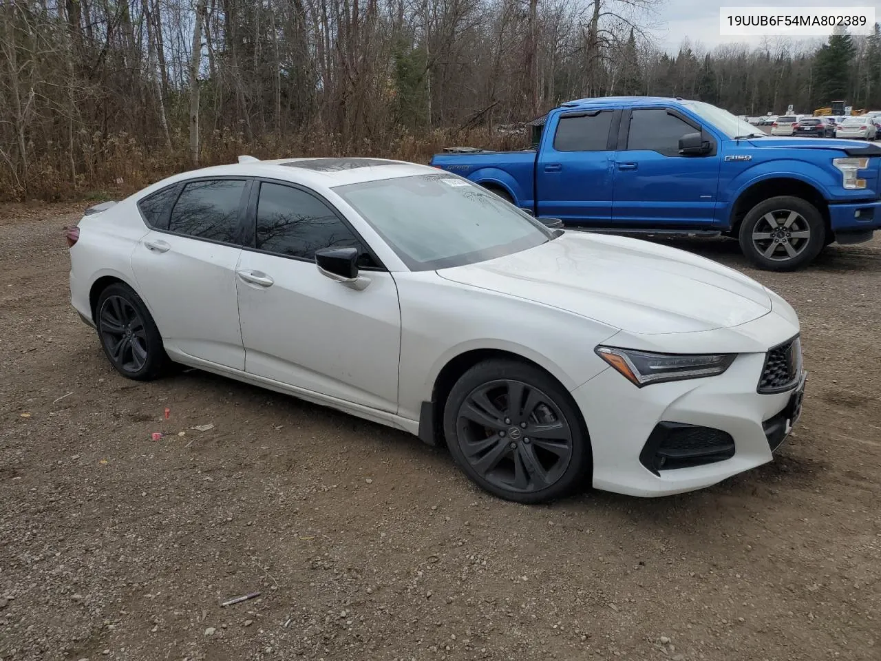 2021 Acura Tlx Tech A VIN: 19UUB6F54MA802389 Lot: 78075274