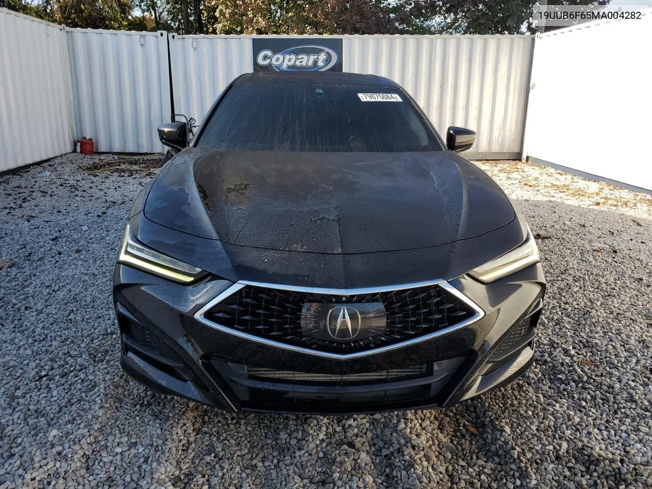 2021 Acura Tlx Advance VIN: 19UUB6F65MA004282 Lot: 79075084