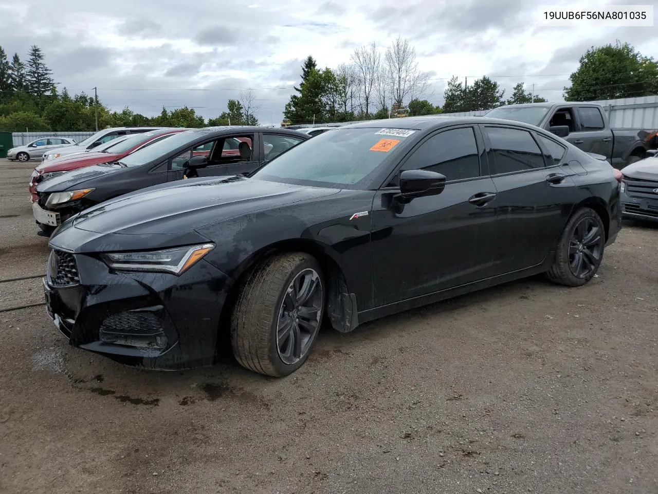 2022 Acura Tlx Tech A VIN: 19UUB6F56NA801035 Lot: 67822404