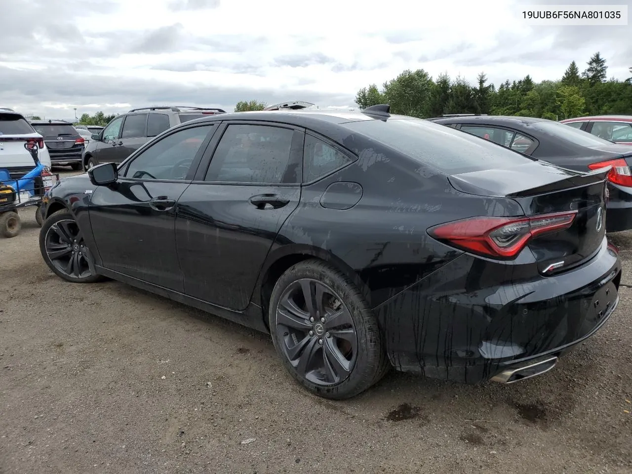 2022 Acura Tlx Tech A VIN: 19UUB6F56NA801035 Lot: 67822404