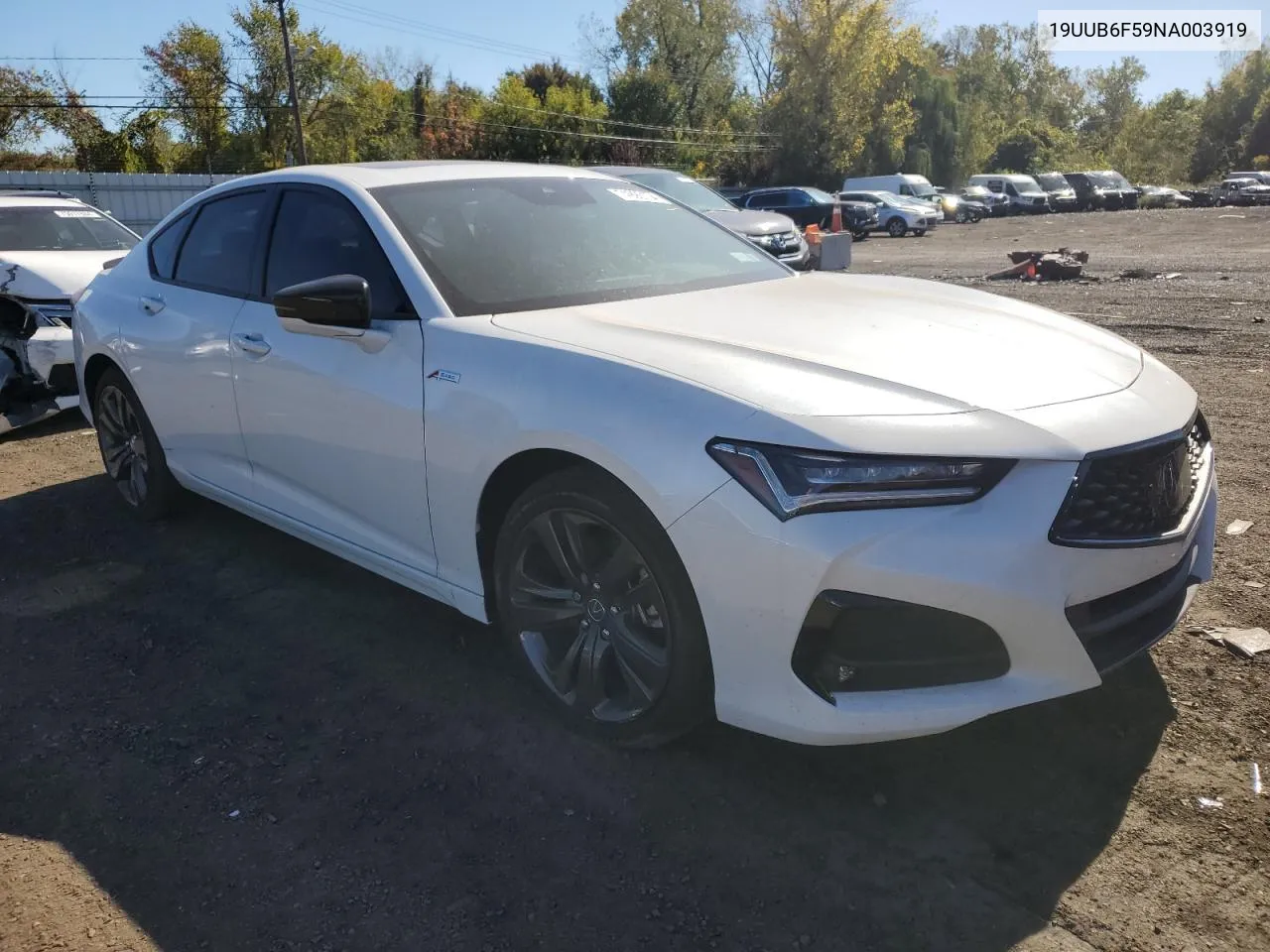 2022 Acura Tlx Tech A VIN: 19UUB6F59NA003919 Lot: 74990104