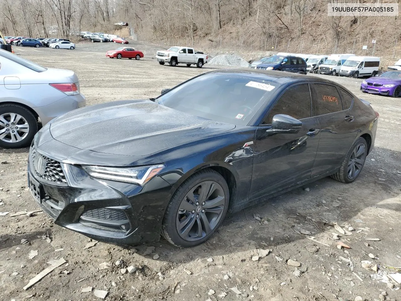 2023 Acura Tlx A-Spec VIN: 19UUB6F57PA005185 Lot: 47786454