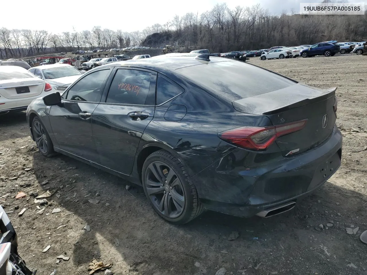 2023 Acura Tlx A-Spec VIN: 19UUB6F57PA005185 Lot: 47786454