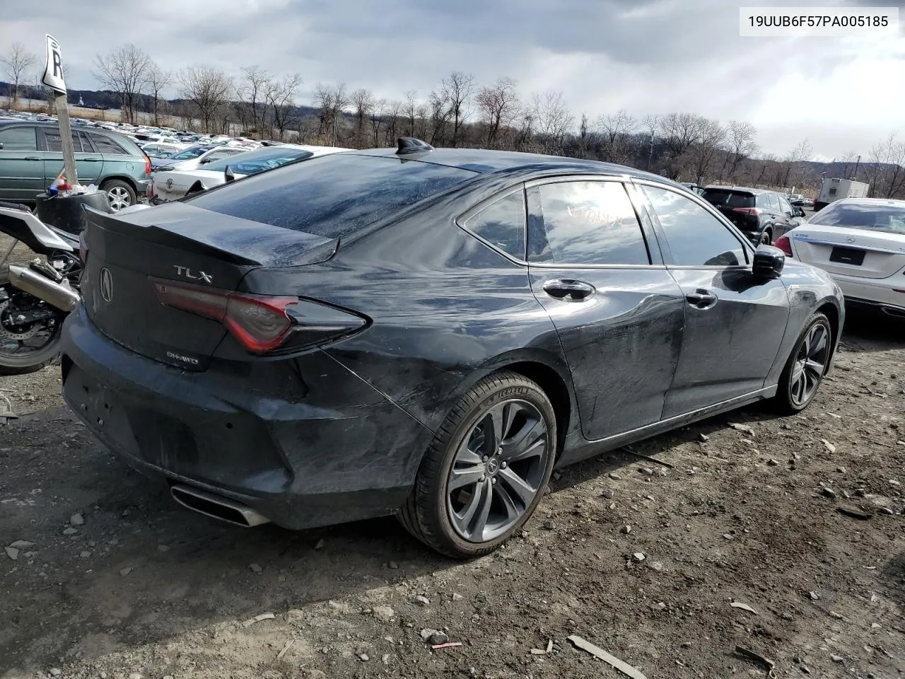 2023 Acura Tlx A-Spec VIN: 19UUB6F57PA005185 Lot: 47786454