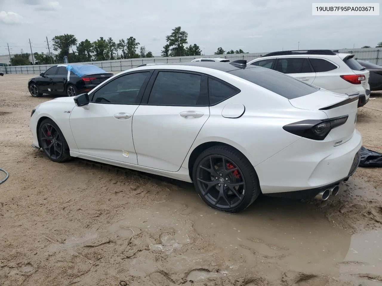 2023 Acura Tlx Type S VIN: 19UUB7F95PA003671 Lot: 63058604