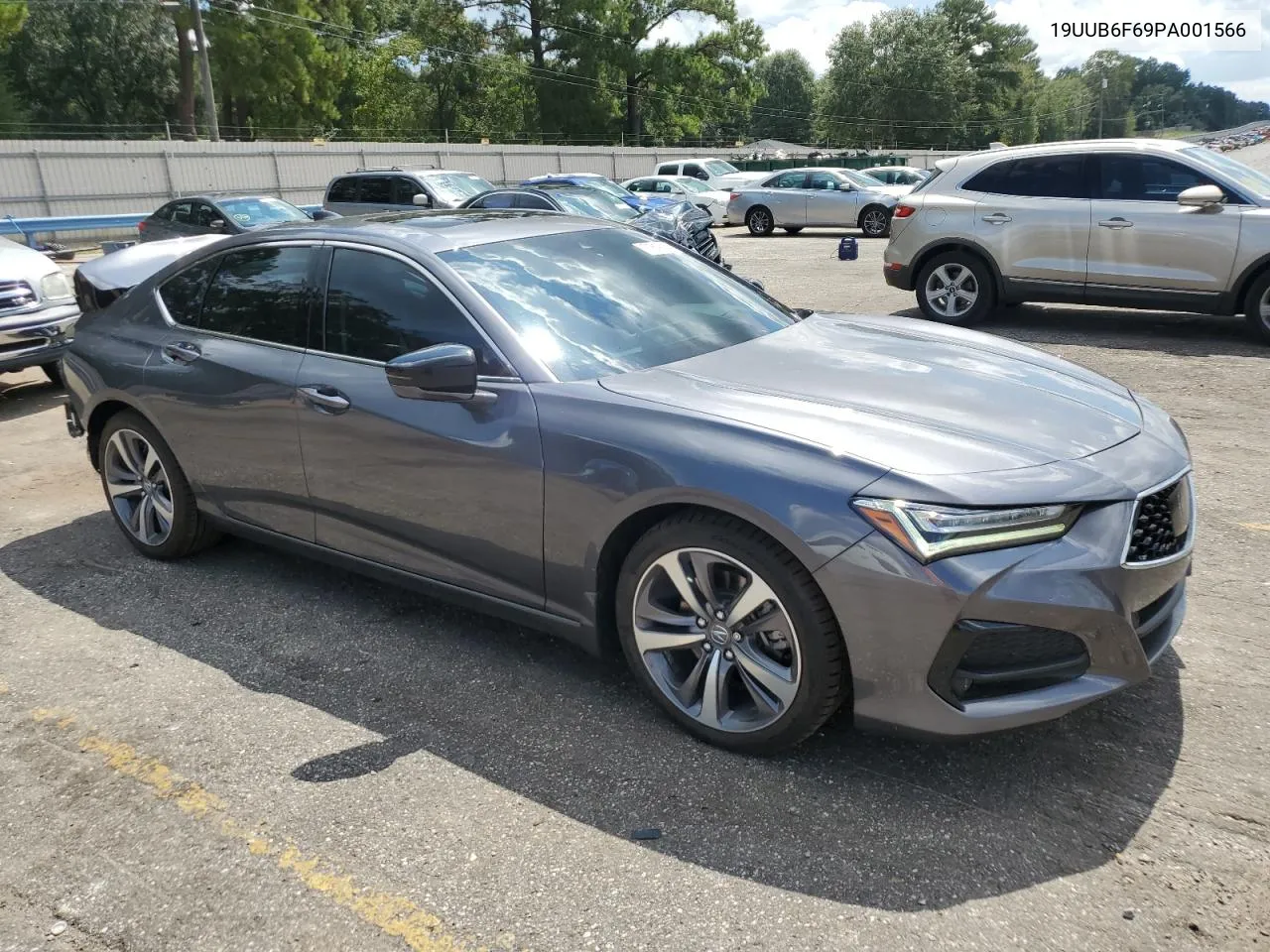 19UUB6F69PA001566 2023 Acura Tlx Advance