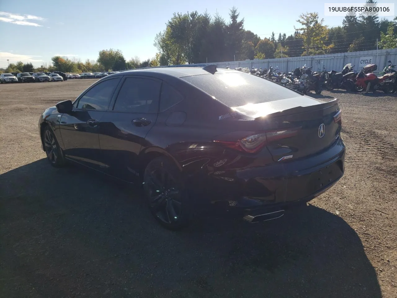 2023 Acura Tlx A-Spec VIN: 19UUB6F55PA800106 Lot: 74809604