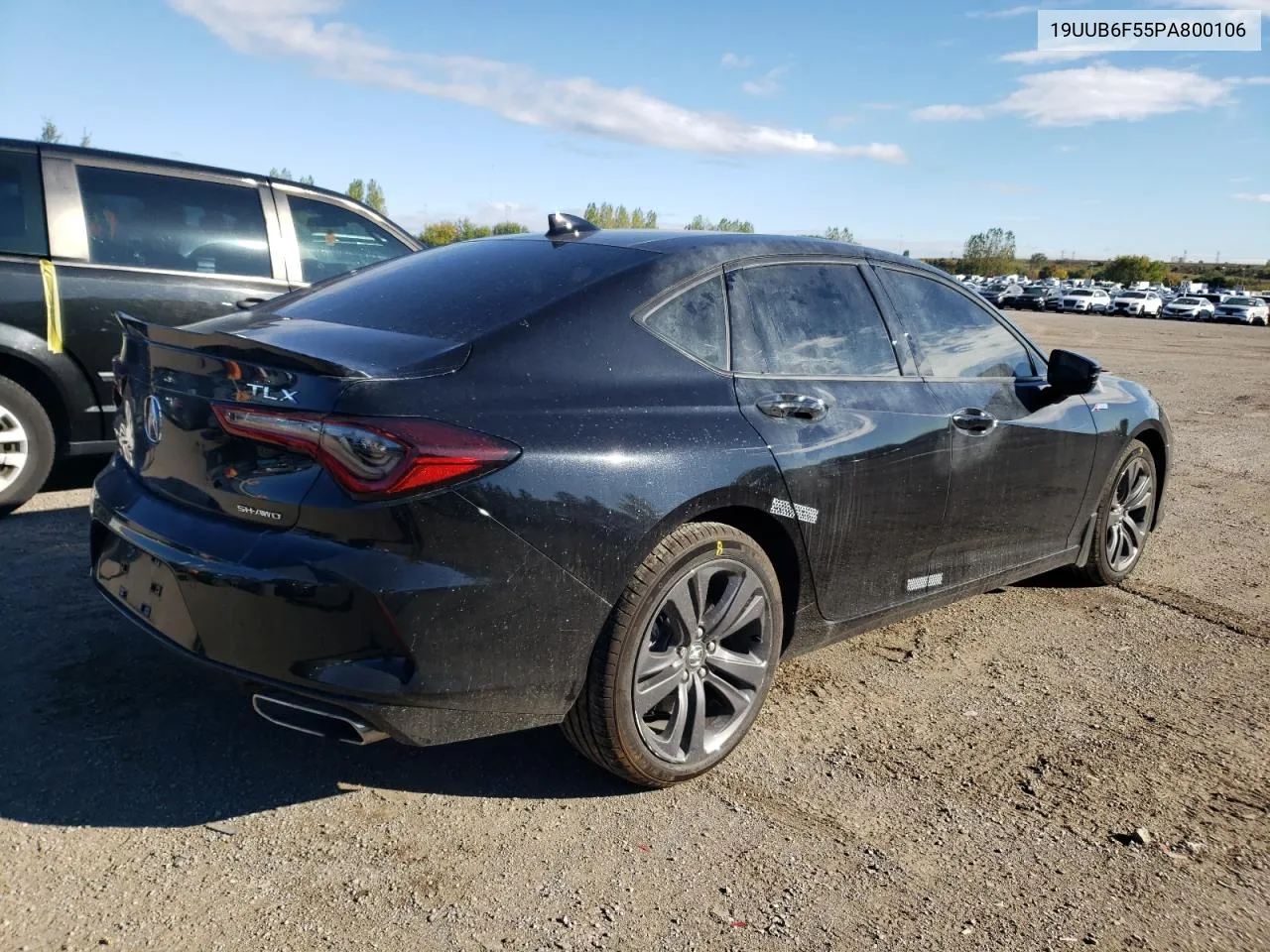 2023 Acura Tlx A-Spec VIN: 19UUB6F55PA800106 Lot: 74809604