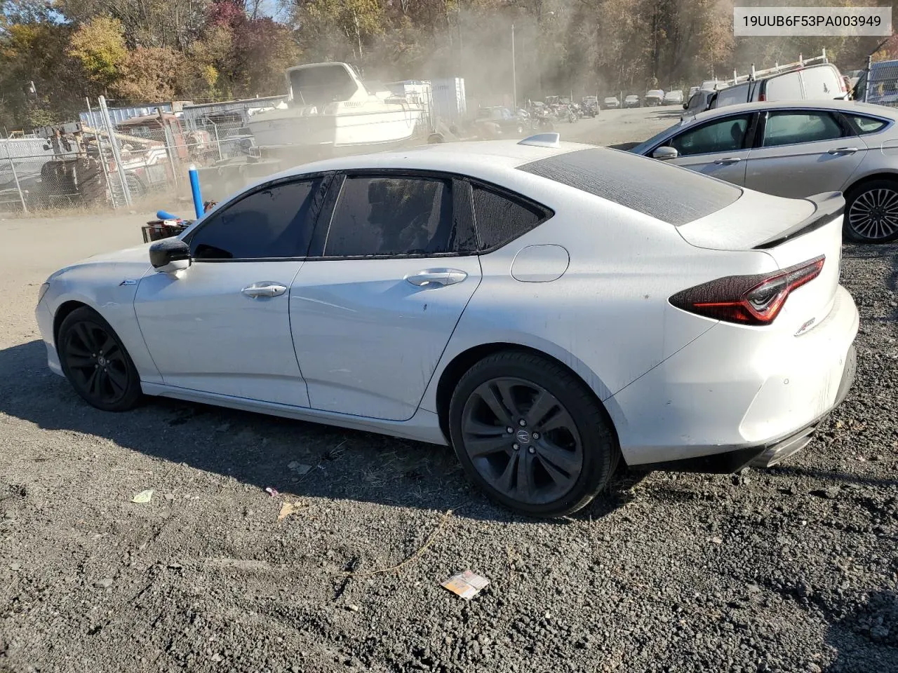 2023 Acura Tlx A-Spec VIN: 19UUB6F53PA003949 Lot: 76664774