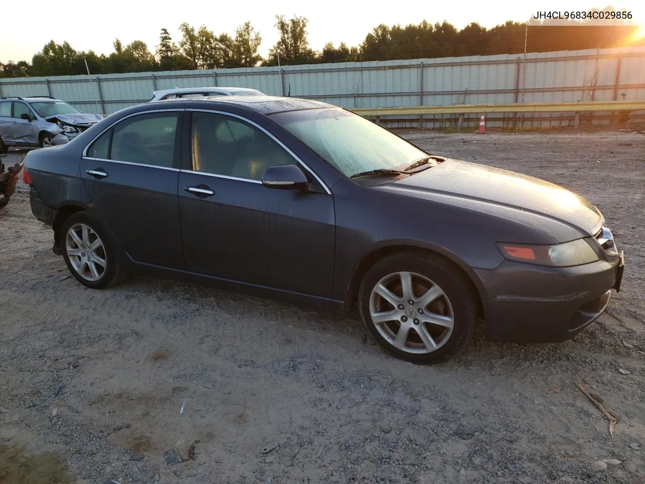 2004 Acura Tsx VIN: JH4CL96834C029856 Lot: 69623084