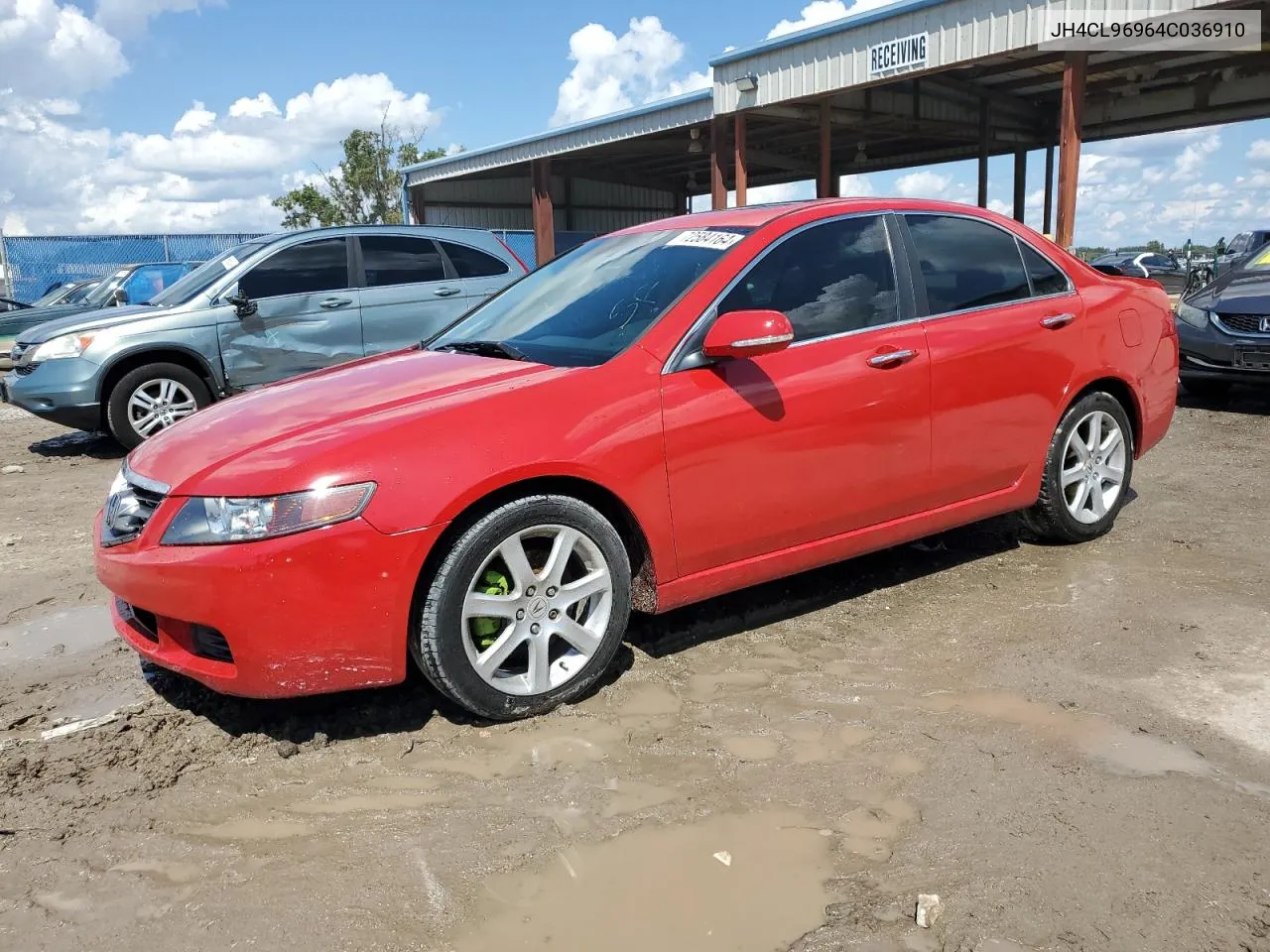 2004 Acura Tsx VIN: JH4CL96964C036910 Lot: 72584164