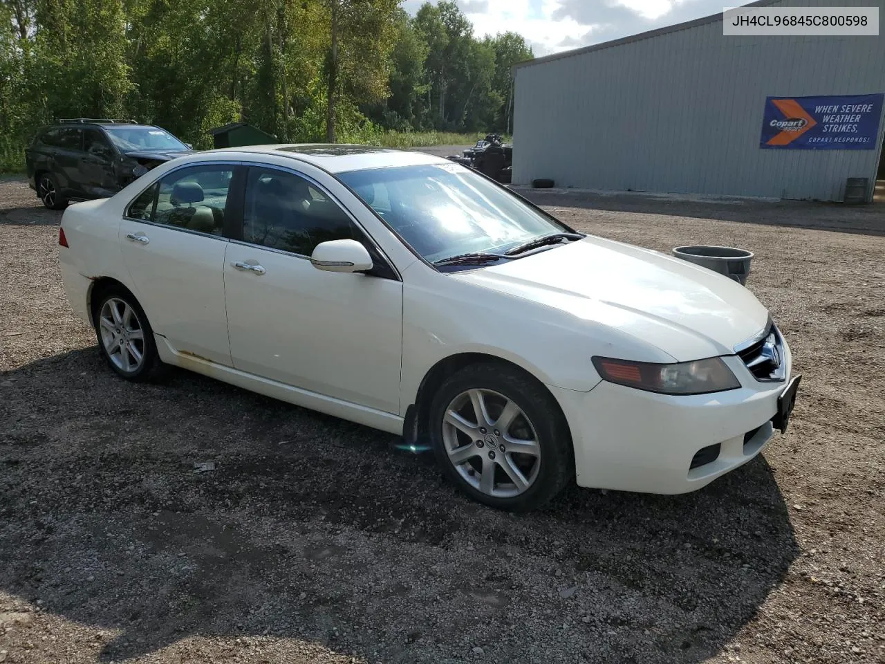 2005 Acura Tsx VIN: JH4CL96845C800598 Lot: 65469294