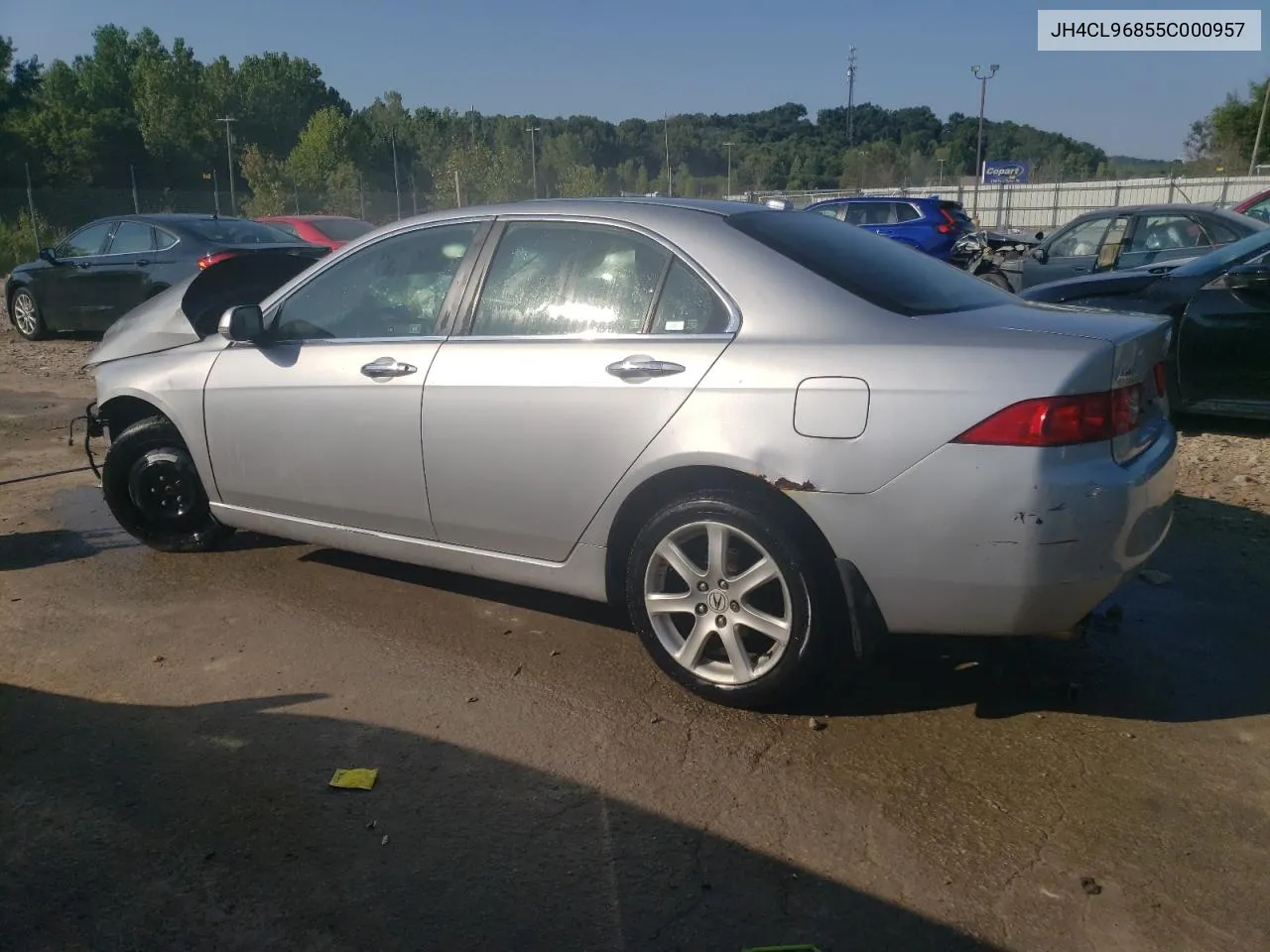 2005 Acura Tsx VIN: JH4CL96855C000957 Lot: 66598044