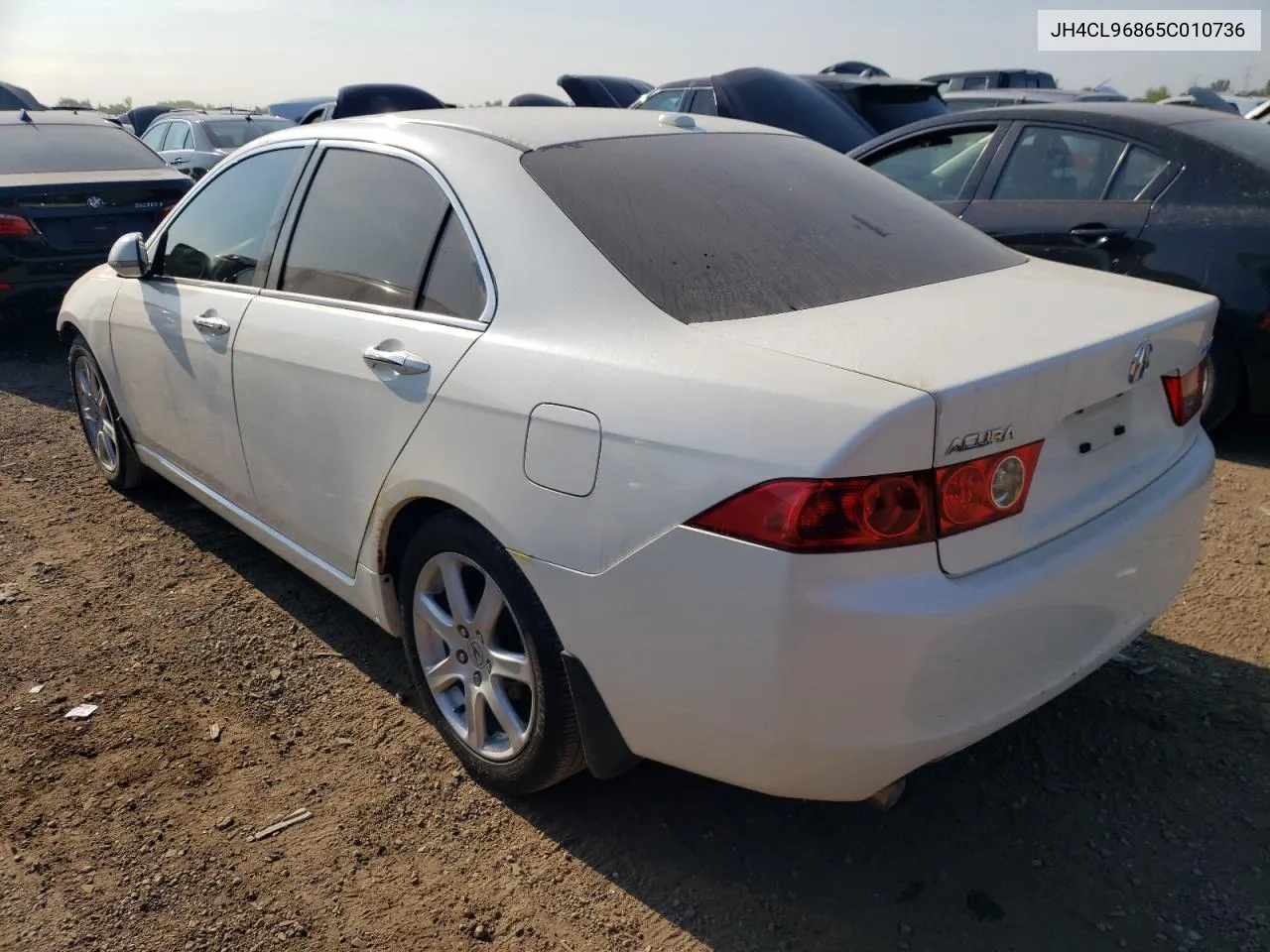 2005 Acura Tsx VIN: JH4CL96865C010736 Lot: 68313874