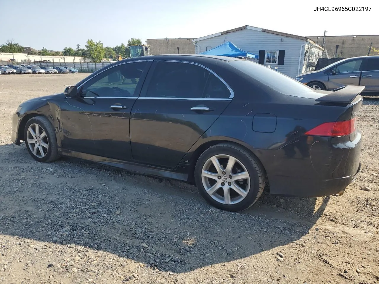 2005 Acura Tsx VIN: JH4CL96965C022197 Lot: 70614254