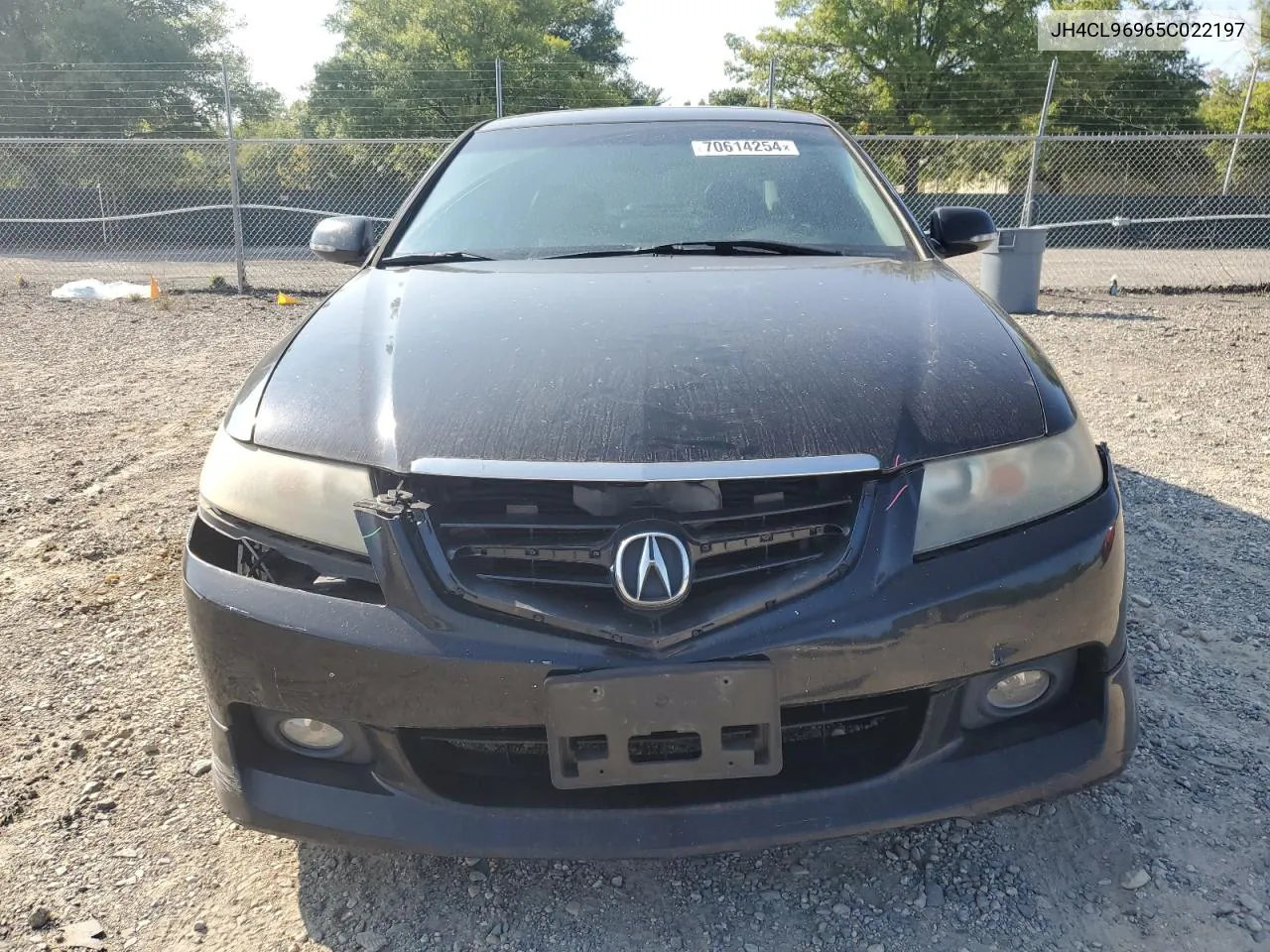 2005 Acura Tsx VIN: JH4CL96965C022197 Lot: 70614254