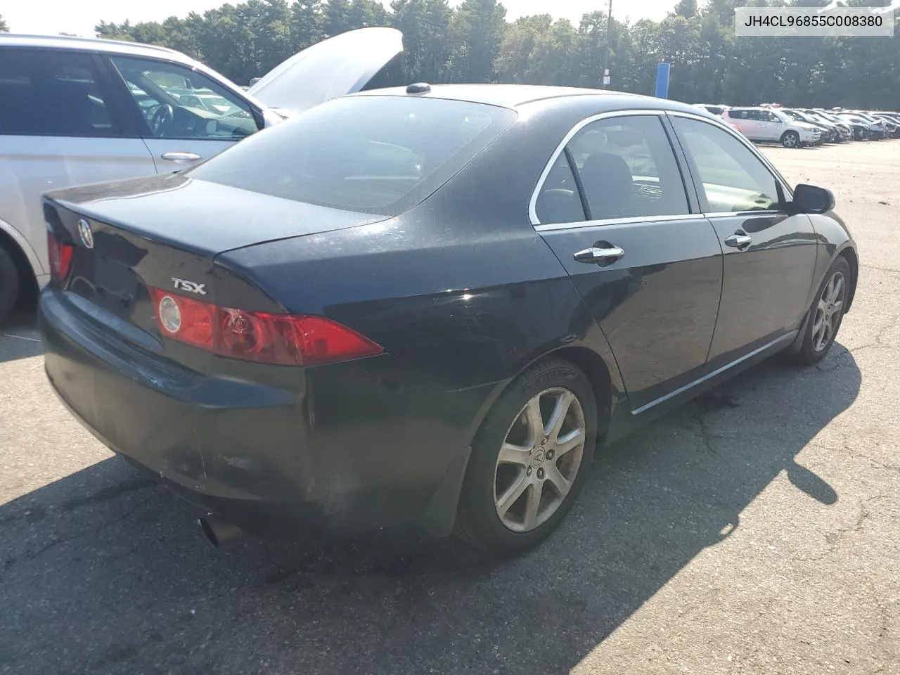 2005 Acura Tsx VIN: JH4CL96855C008380 Lot: 71462544