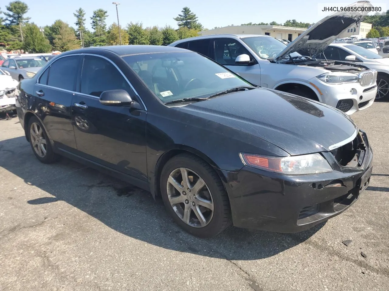 2005 Acura Tsx VIN: JH4CL96855C008380 Lot: 71462544