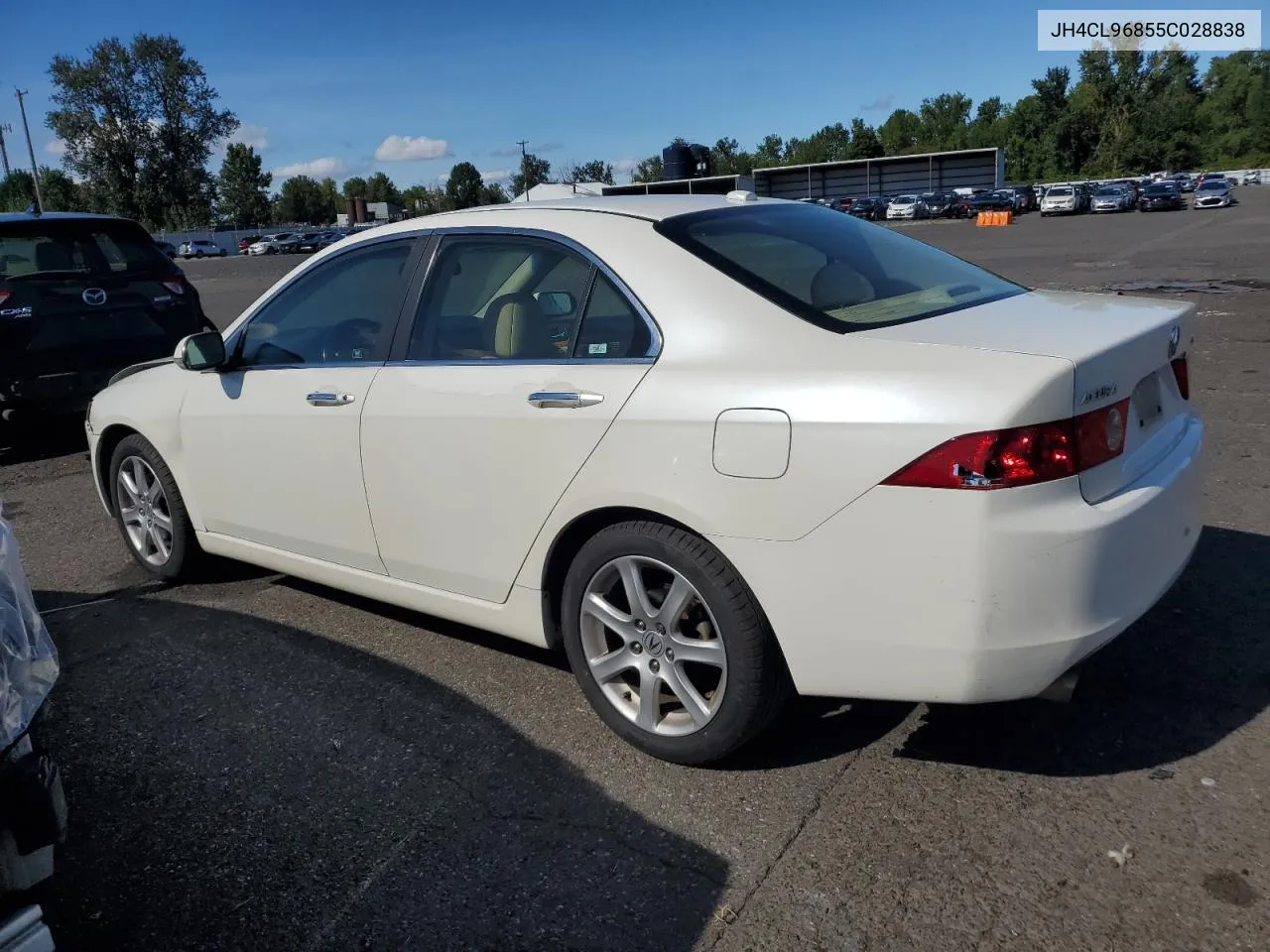 2005 Acura Tsx VIN: JH4CL96855C028838 Lot: 71678894