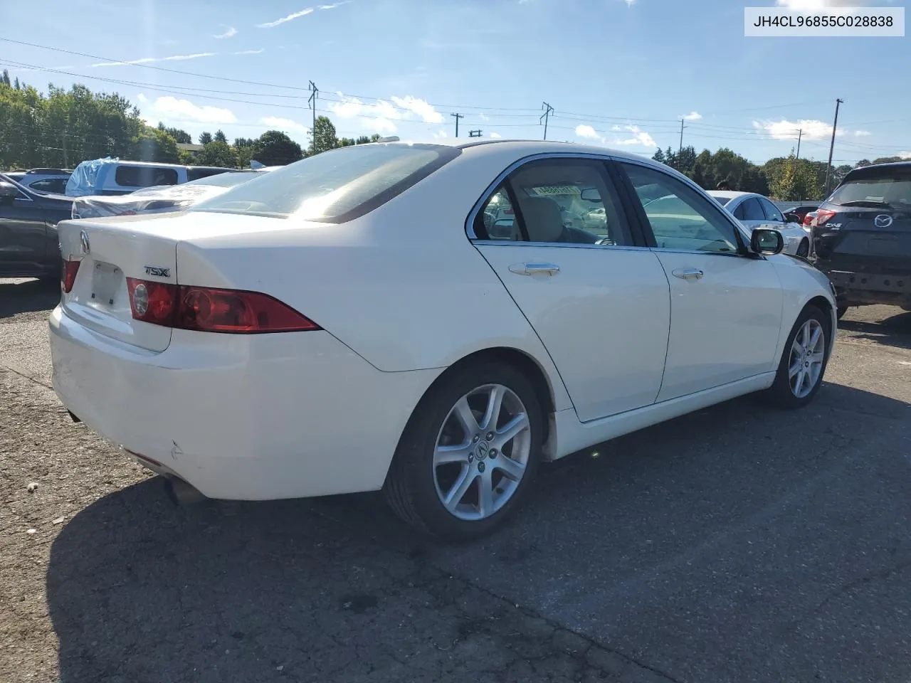 2005 Acura Tsx VIN: JH4CL96855C028838 Lot: 71678894