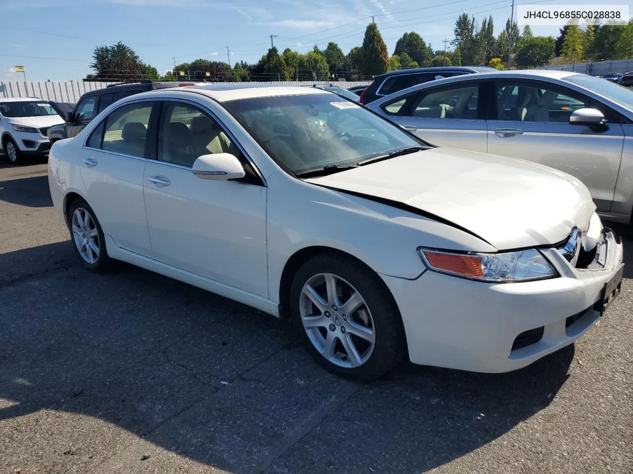 2005 Acura Tsx VIN: JH4CL96855C028838 Lot: 71678894