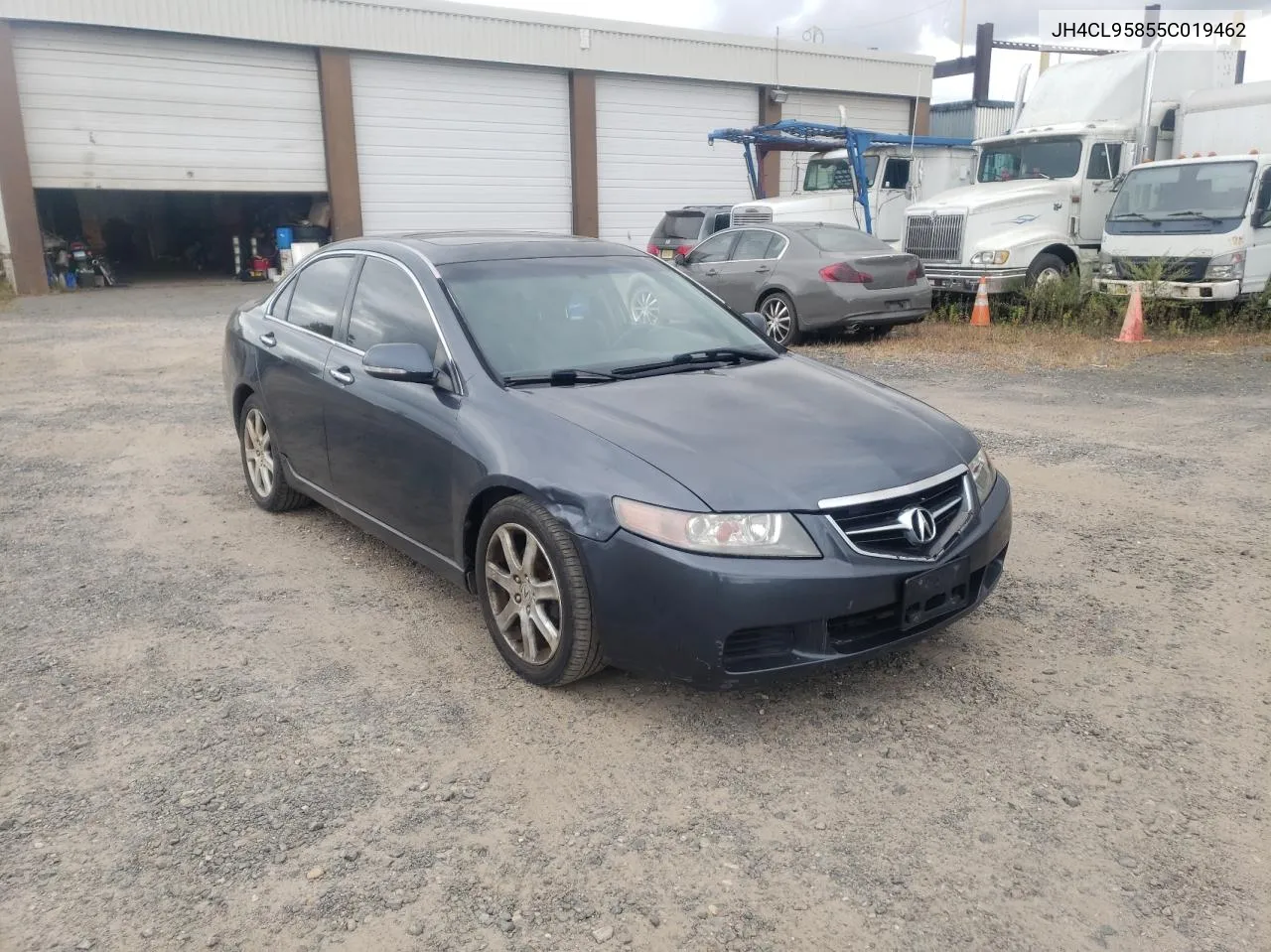 2005 Acura Tsx VIN: JH4CL95855C019462 Lot: 72996854