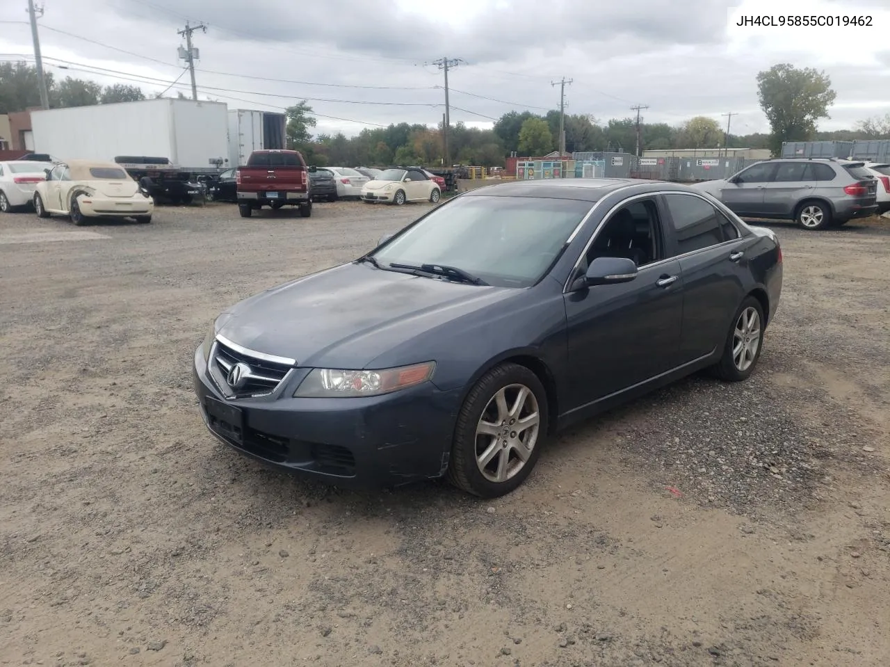 2005 Acura Tsx VIN: JH4CL95855C019462 Lot: 72996854