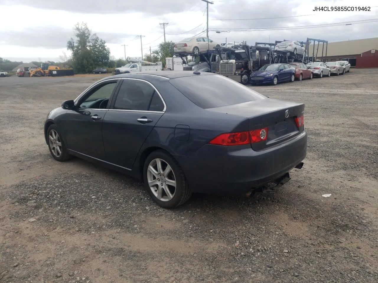 2005 Acura Tsx VIN: JH4CL95855C019462 Lot: 72996854