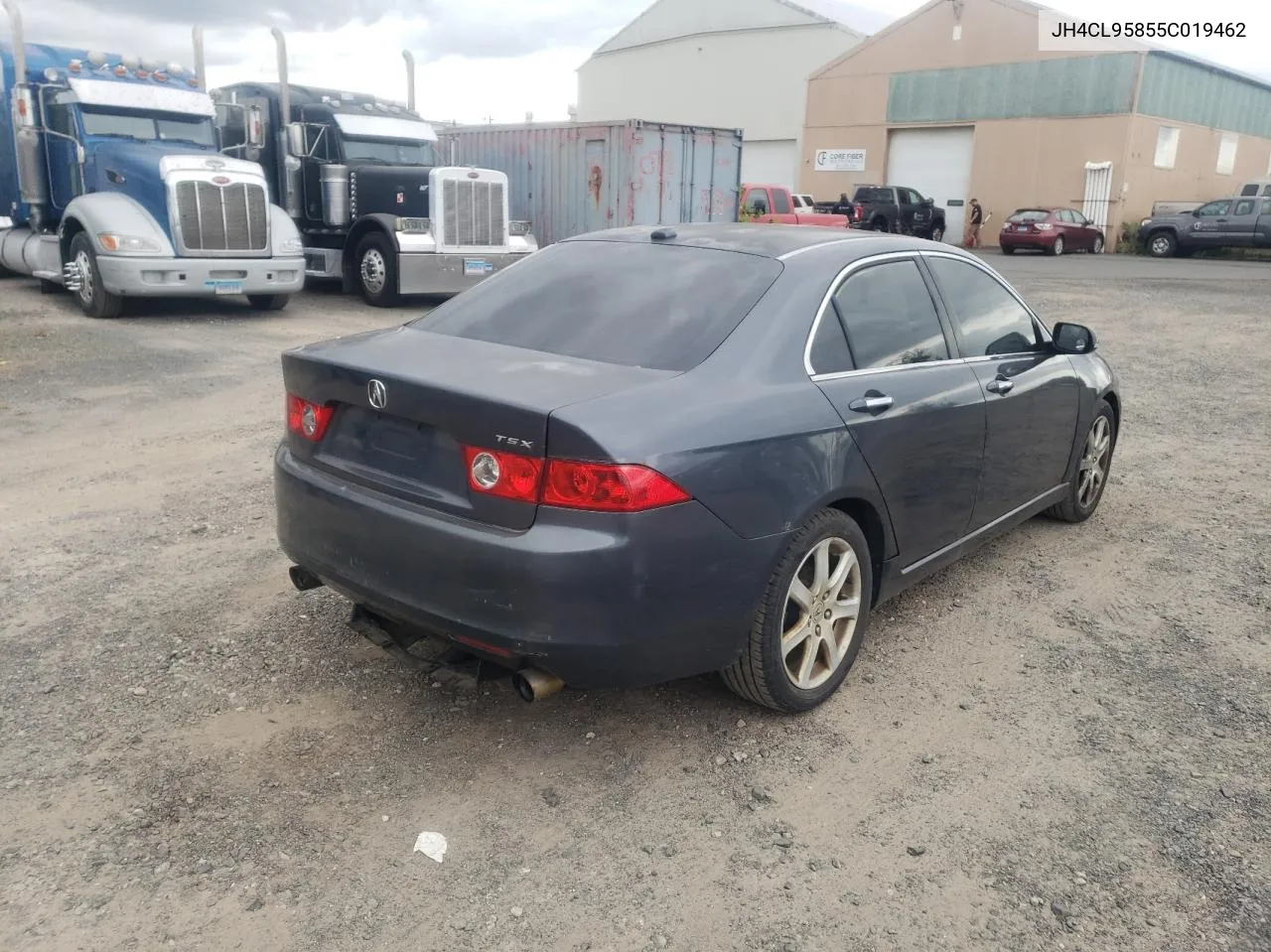 2005 Acura Tsx VIN: JH4CL95855C019462 Lot: 72996854