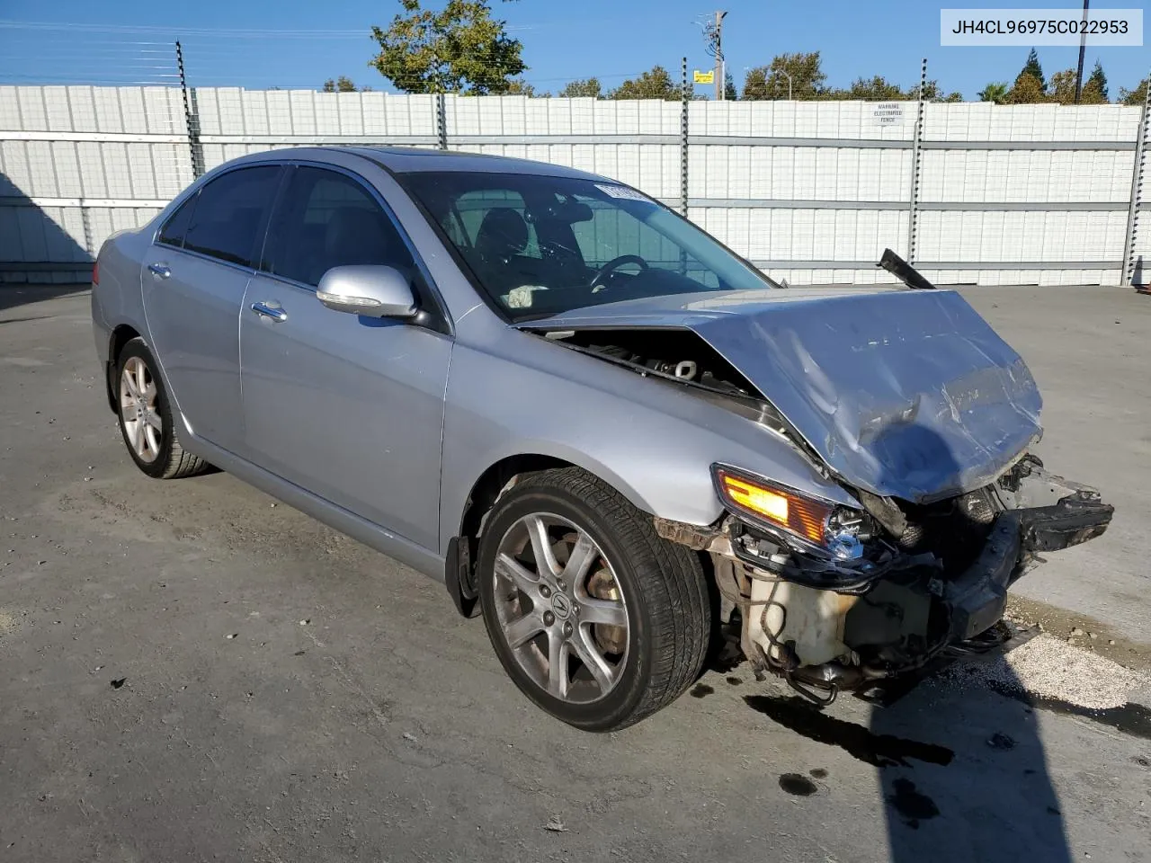 2005 Acura Tsx VIN: JH4CL96975C022953 Lot: 73179924