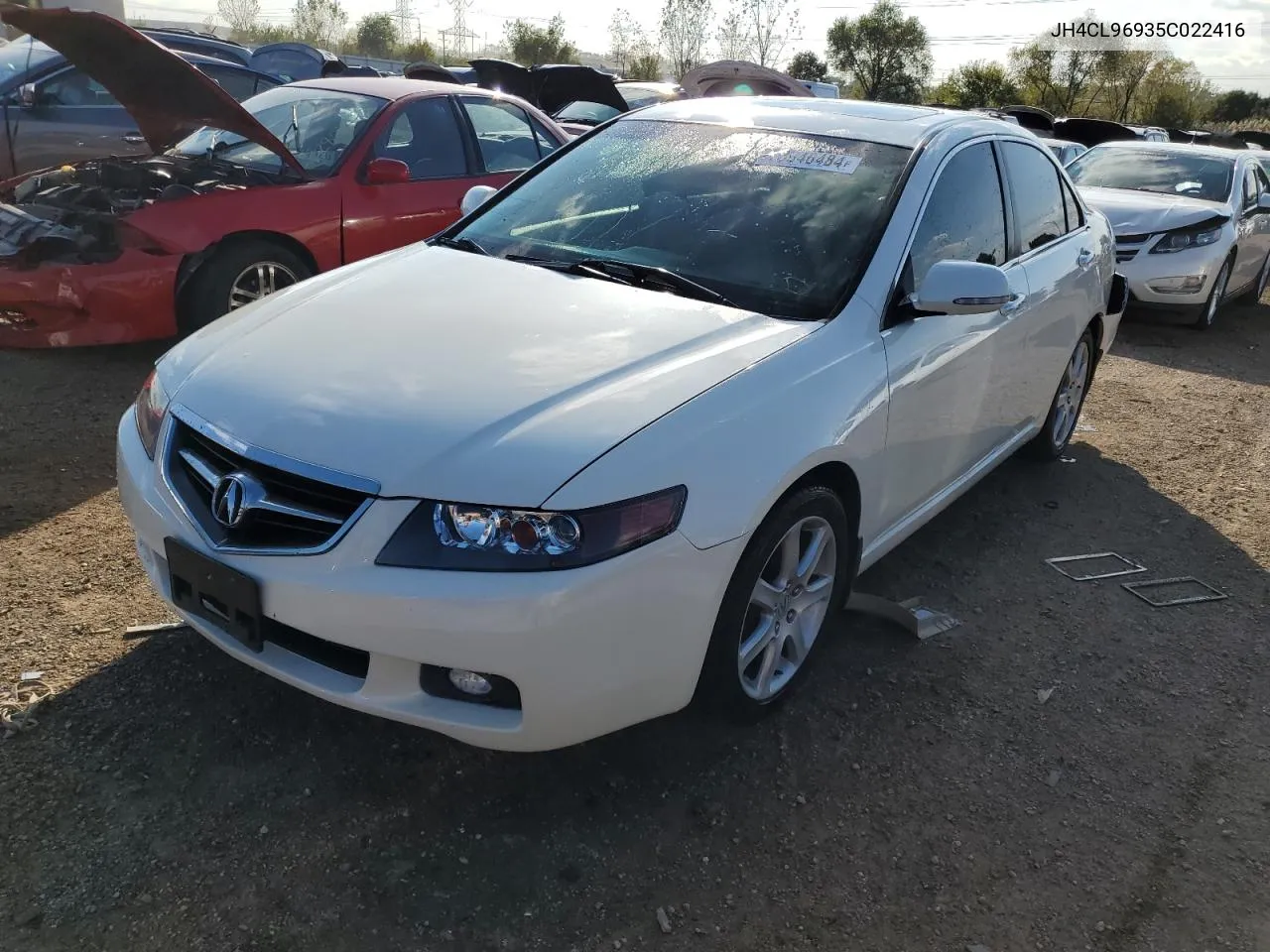 2005 Acura Tsx VIN: JH4CL96935C022416 Lot: 73646484