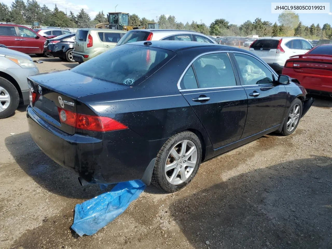 2005 Acura Tsx VIN: JH4CL95805C019921 Lot: 74370384