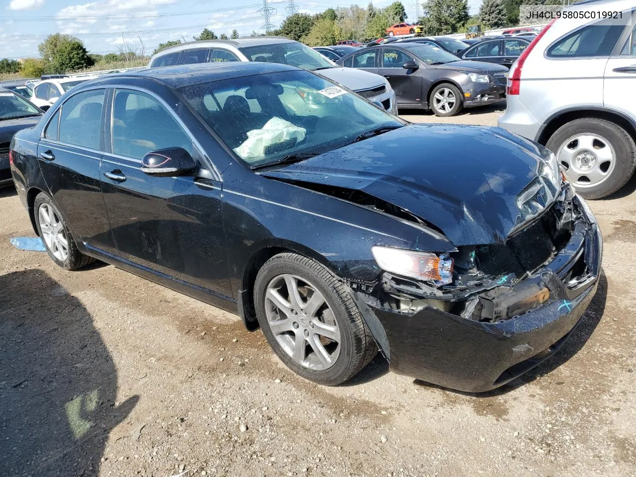 2005 Acura Tsx VIN: JH4CL95805C019921 Lot: 74370384