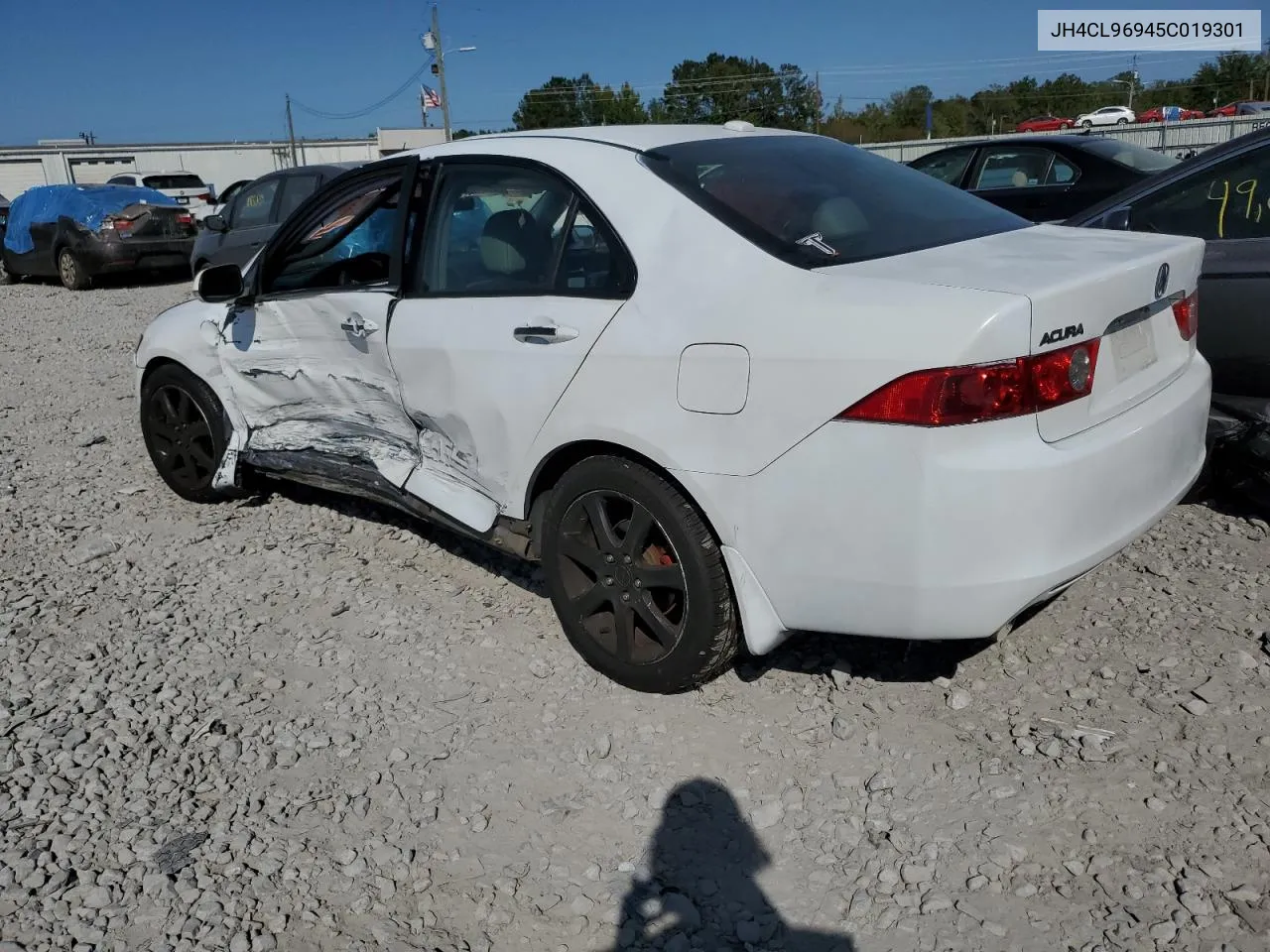 2005 Acura Tsx VIN: JH4CL96945C019301 Lot: 75812794