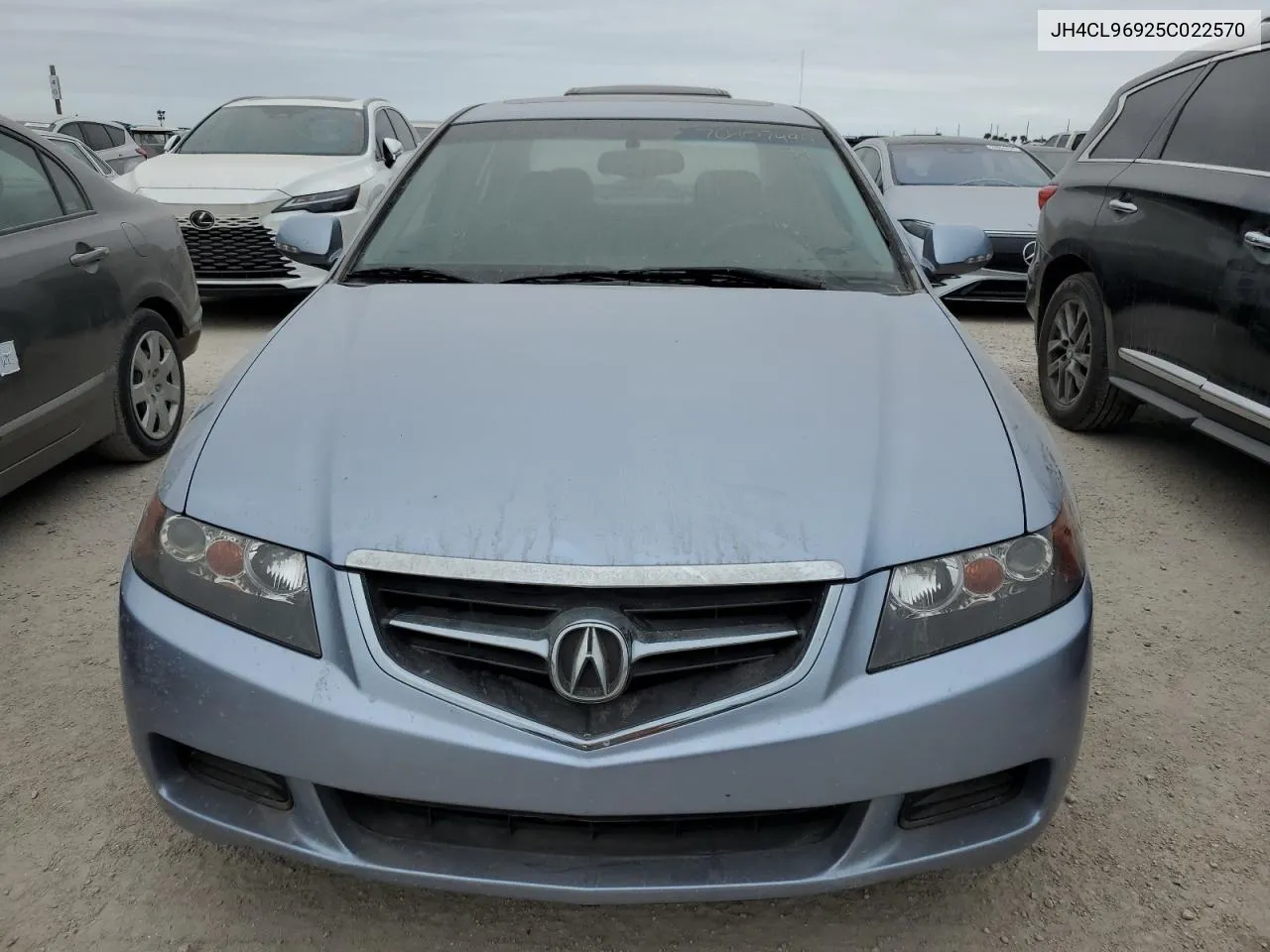 2005 Acura Tsx VIN: JH4CL96925C022570 Lot: 76407494