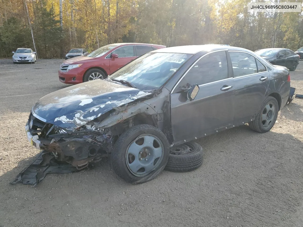 2005 Acura Tsx VIN: JH4CL96895C803447 Lot: 76514124