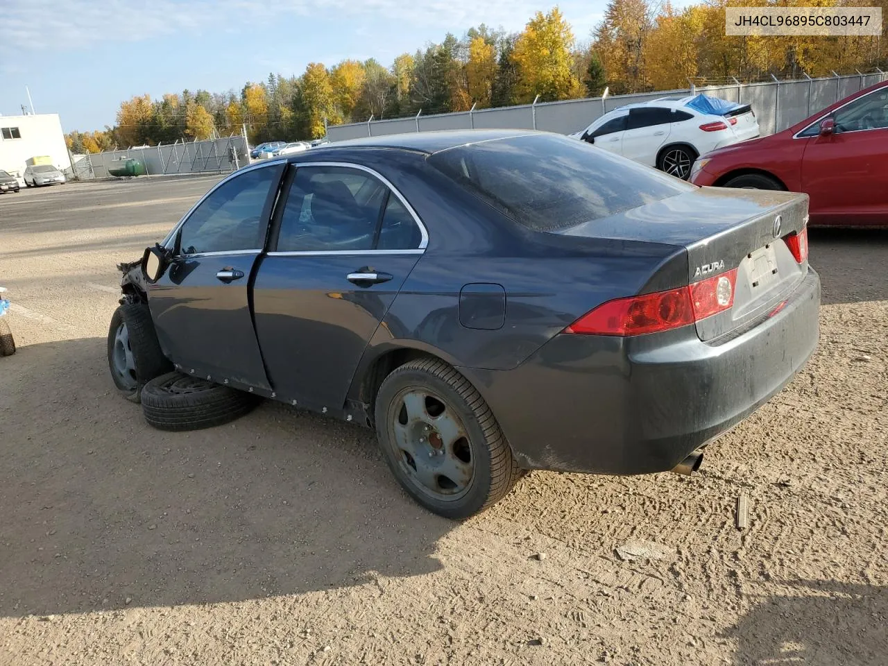 2005 Acura Tsx VIN: JH4CL96895C803447 Lot: 76514124