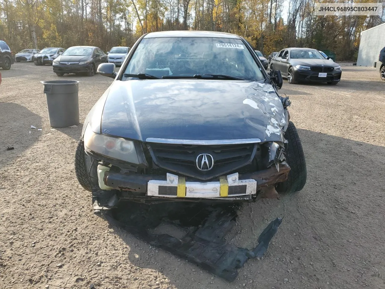 2005 Acura Tsx VIN: JH4CL96895C803447 Lot: 76514124