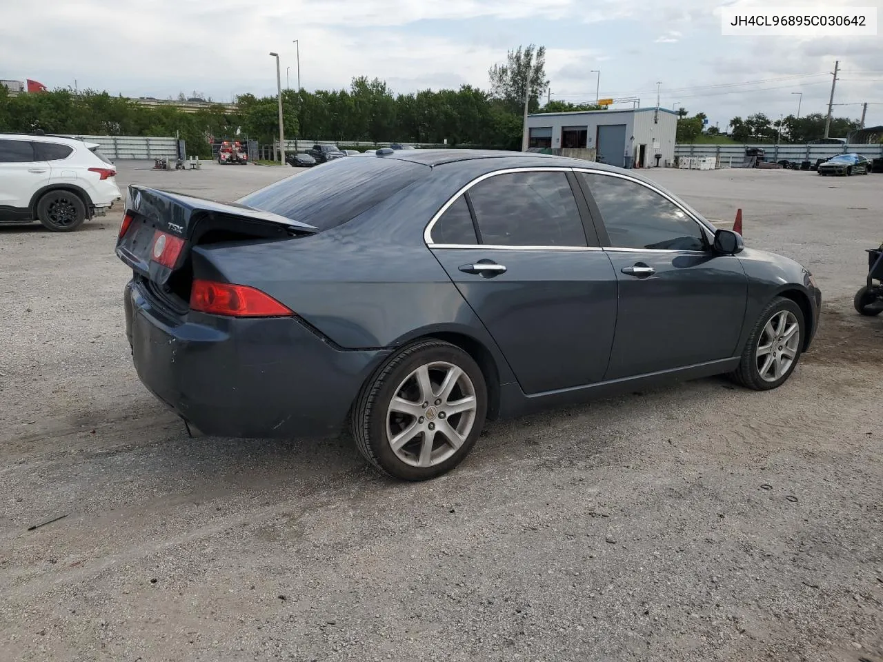 2005 Acura Tsx VIN: JH4CL96895C030642 Lot: 76534464