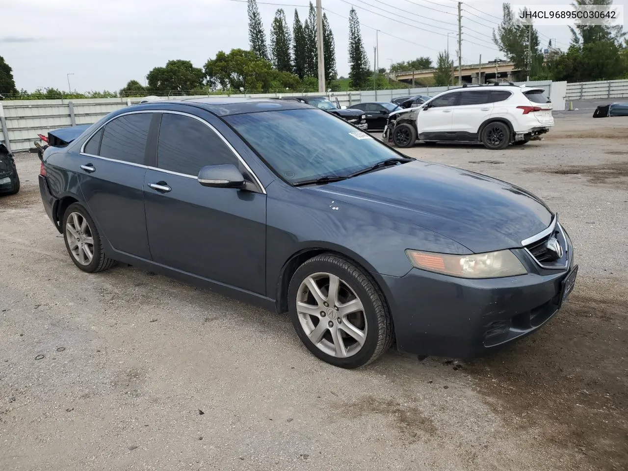 2005 Acura Tsx VIN: JH4CL96895C030642 Lot: 76534464