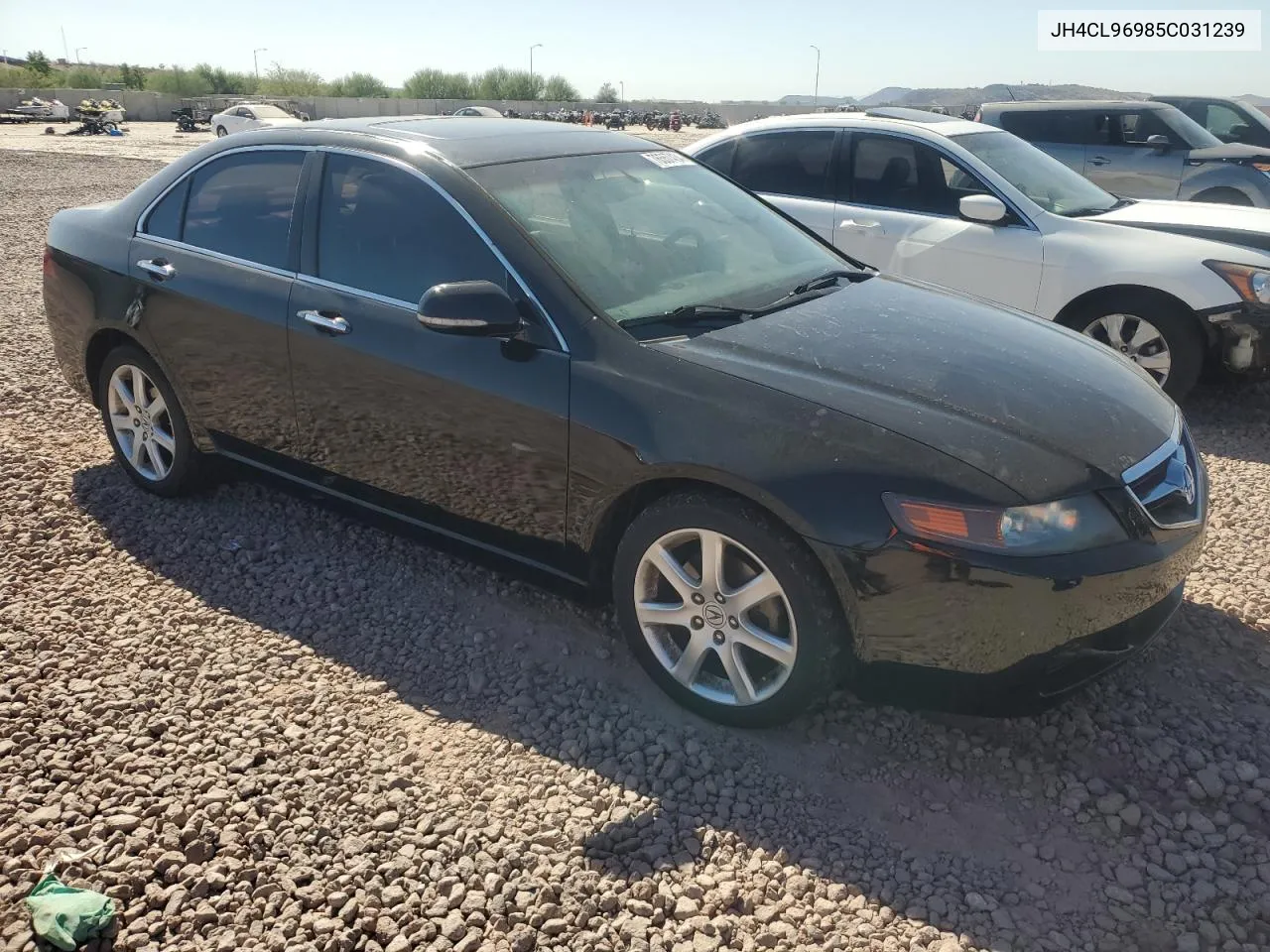 2005 Acura Tsx VIN: JH4CL96985C031239 Lot: 76557434