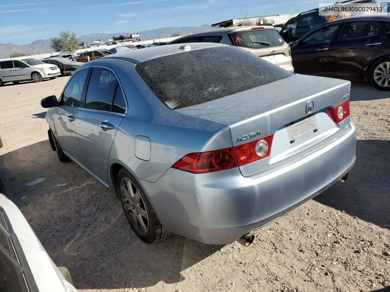 2005 Acura Tsx VIN: JH4CL96805C029413 Lot: 76920874