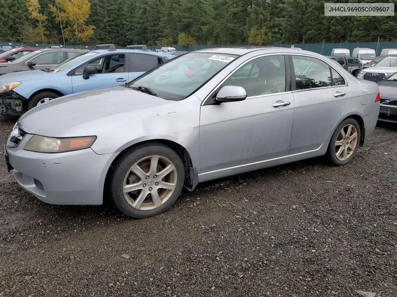 2005 Acura Tsx VIN: JH4CL96905C009607 Lot: 77611384