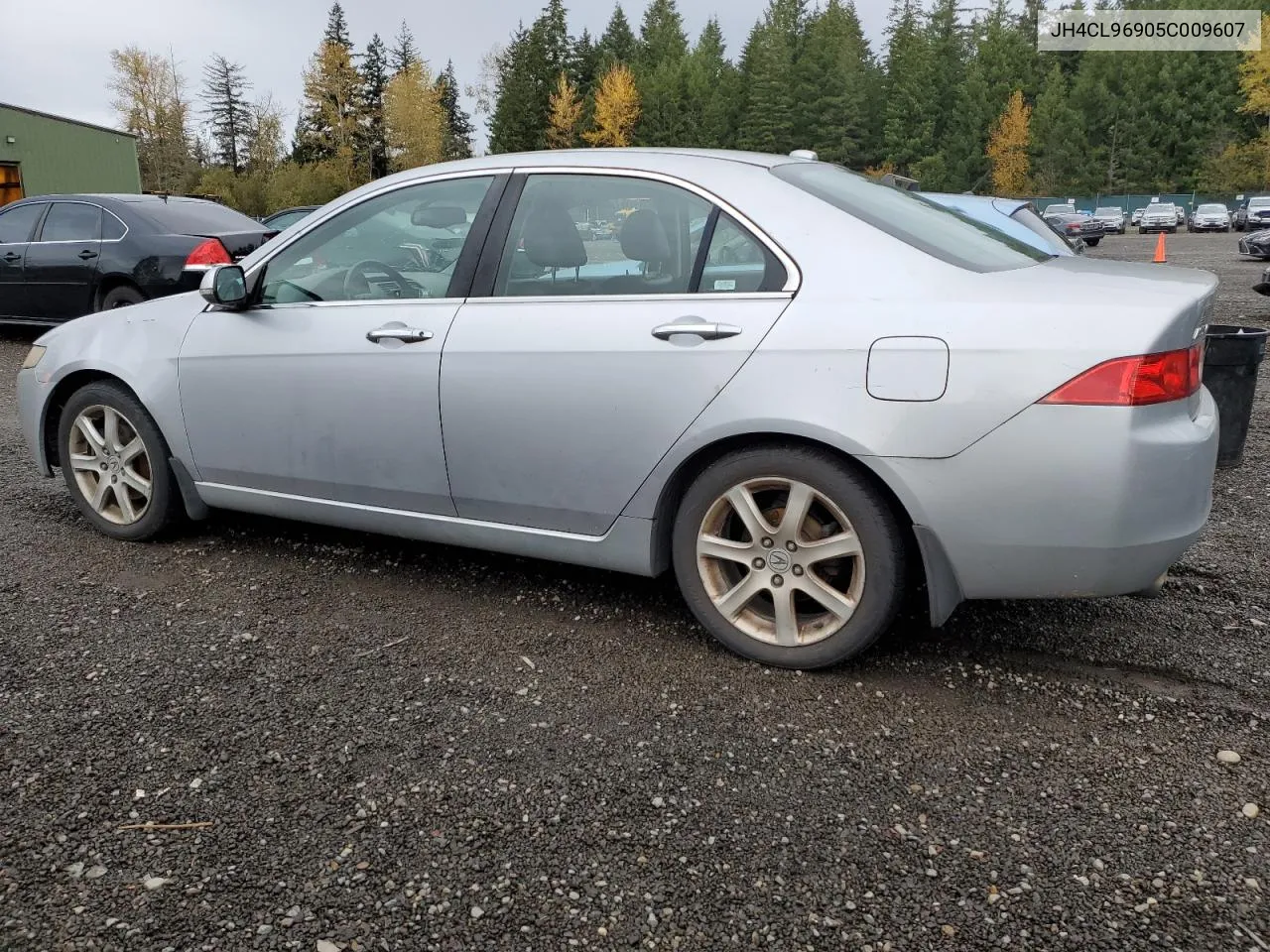 2005 Acura Tsx VIN: JH4CL96905C009607 Lot: 77611384