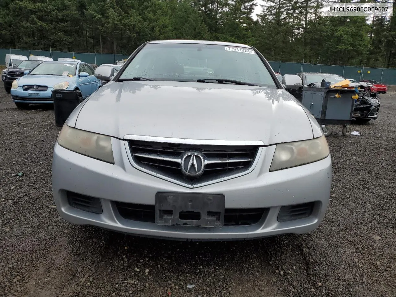 2005 Acura Tsx VIN: JH4CL96905C009607 Lot: 77611384