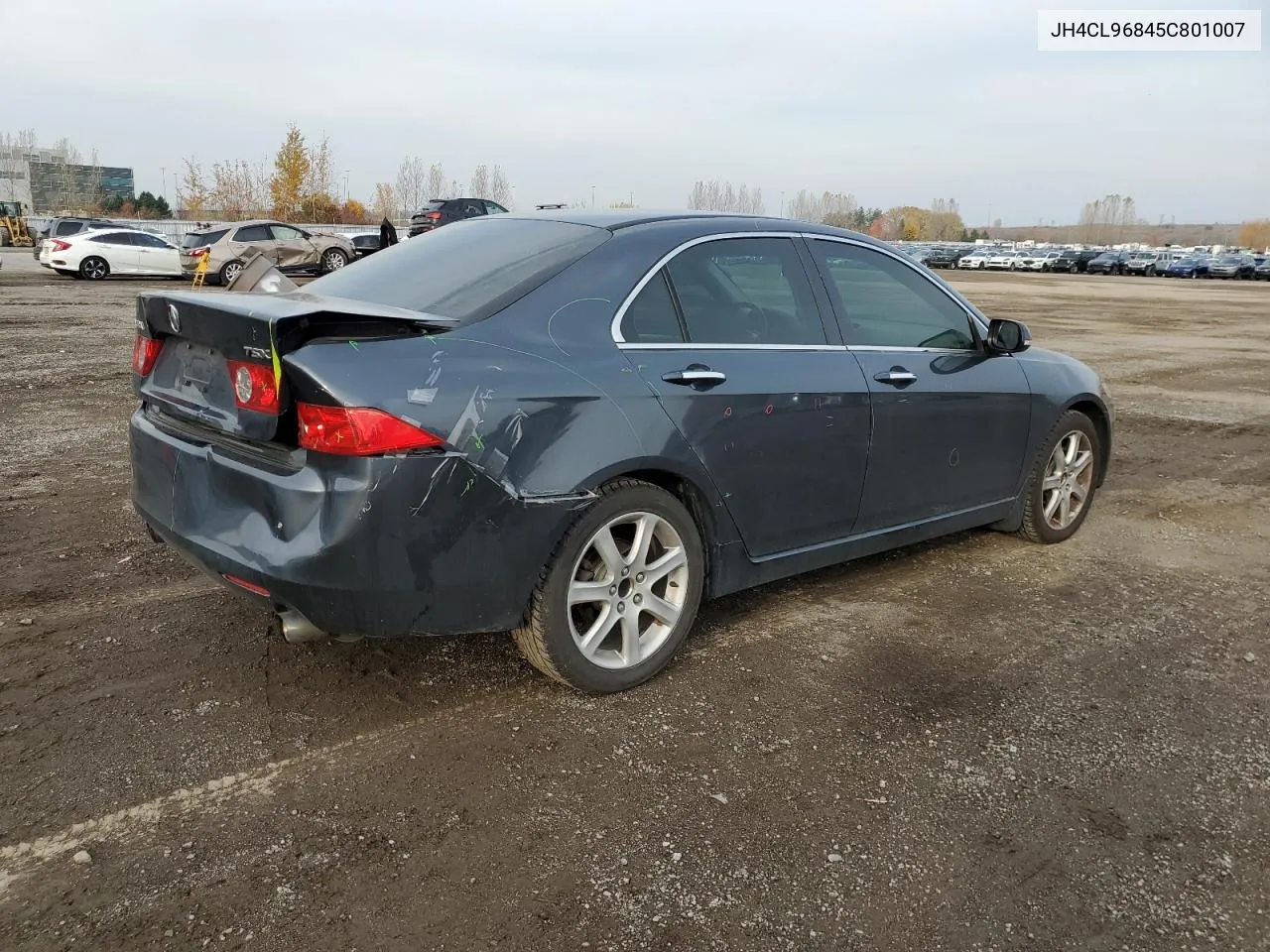 2005 Acura Tsx VIN: JH4CL96845C801007 Lot: 78260094