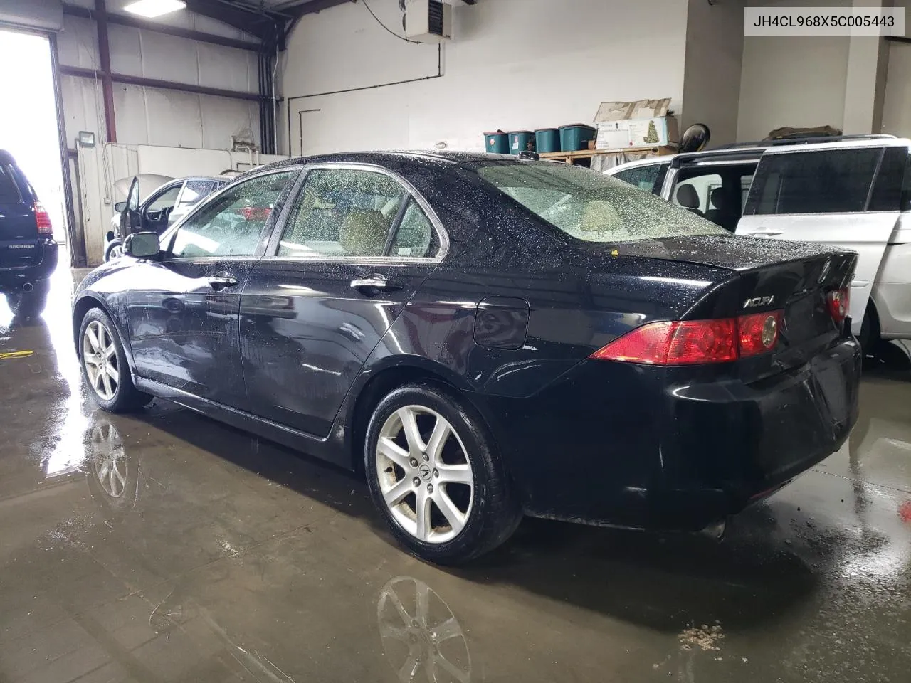 2005 Acura Tsx VIN: JH4CL968X5C005443 Lot: 79208014