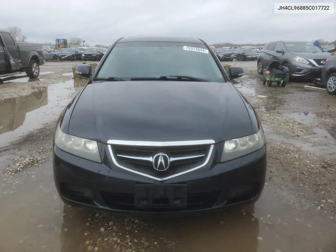 2005 Acura Tsx VIN: JH4CL96885C017722 Lot: 79313644